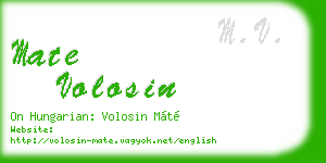 mate volosin business card