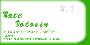 mate volosin business card